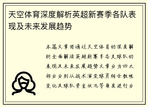 天空体育深度解析英超新赛季各队表现及未来发展趋势