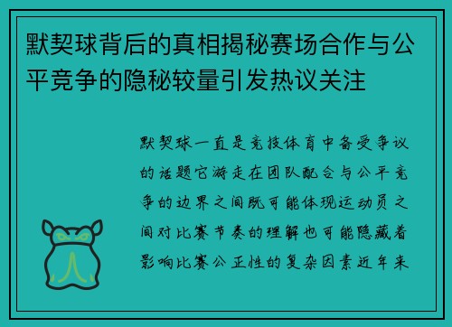 默契球背后的真相揭秘赛场合作与公平竞争的隐秘较量引发热议关注